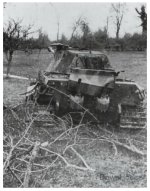 IMG_8254.jpeg IMG_8254.jpeg