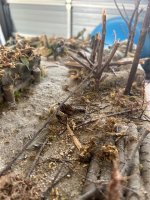 beach6.jpeg beach6.jpeg