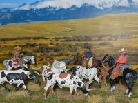 PXL_20260214_234650208~3.jpg PXL_20260214_234650208~3.jpg