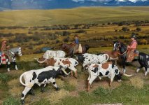 PXL_20260214_234759396~2.jpg PXL_20260214_234759396~2.jpg