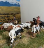 PXL_20260214_234841986~2.jpg PXL_20260214_234841986~2.jpg