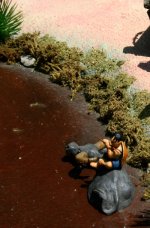 IMG_0282 - rsc 0.JPG