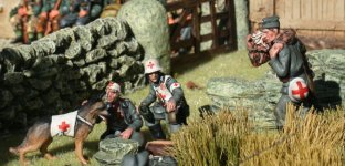 img_2626 = csrr 0.jpg