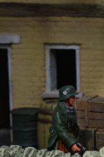 IMGP8151 = rsr 04.JPG