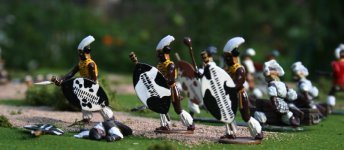 IMG_9713 = csrL 01.JPG