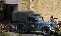 IMG_0137 = crs 01.JPG