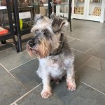 News Update 03.26 13.jpg