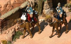 IMG_0492 = rcsL 02.JPG