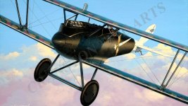 March Wsrbirds Cover.jpg