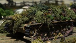 IMGP6363 = srrc 0.JPG