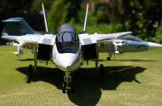 IMG_0885 - crs 0.JPG