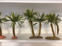 IMG_1438.JPEG