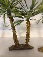 IMG_1439.JPEG