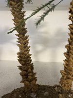 IMG_1440.JPEG