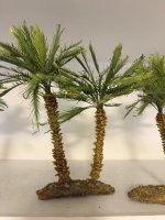 IMG_1441.JPEG