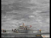 AE9D9B9E-48AC-4B4E-9050-FA34AB320FF8.png