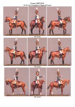 NF-111I.Grenadiers of Imperial Guards(0).jpg