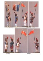 NF-111I.Grenadiers of Imperial Guards(1).jpg