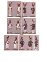 NF-111I.Grenadiers of Imperial Guards(2).jpg