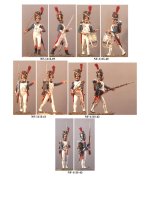 NF-111I.Grenadiers of Imperial Guards(9).jpg