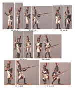 NF-111I.Grenadiers of Imperial Guards(10).jpg