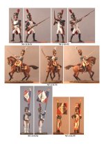 NF-111I.Grenadiers of Imperial Guards(11).jpg