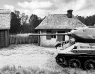 IMG_7300.jpeg