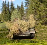 AMB.jpg