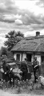 IMG_4346.jpeg