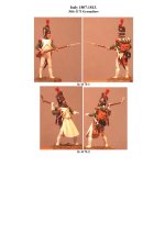 It-117I Grenadiers(0).jpg