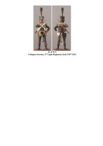 It-117I Grenadiers(4).jpg