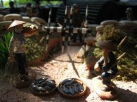 IMG_0086 - cs 0.JPG