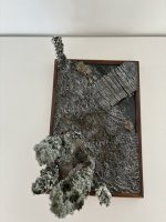 IMG_5532.jpeg