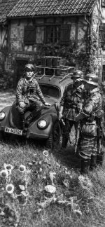 IMG_6867.jpeg