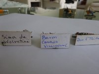 DSC00408.JPG