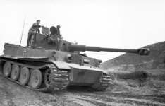DAK5.jpg