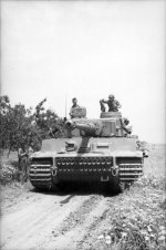 DAK12.jpg
