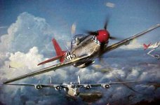RedTailP-51.jpg