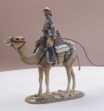 camel1.jpg