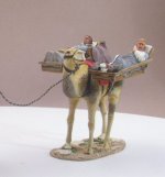 camel2.jpg