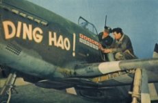 dinghao1new1.jpg