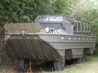 5A.jpg