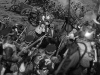 bw6.jpg