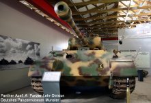 panther_01.jpg