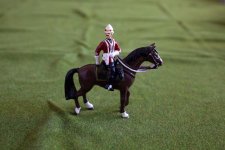 IMG_2430.jpg