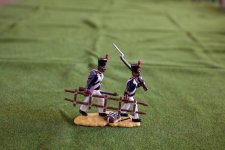 IMG_2444.jpg