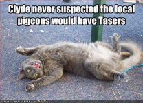 ATT00285[1].jpg