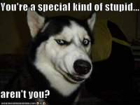ATT00291[1].jpg
