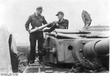 vehicle_panzervi190.jpg