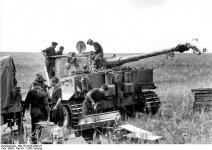 vehicle_panzervi39.jpg